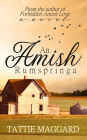 An Amish Rumspringa
