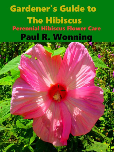 Gardener's Guide To The Hibiscus