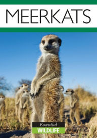 Title: Meerkats, Author: Lisa Hughes