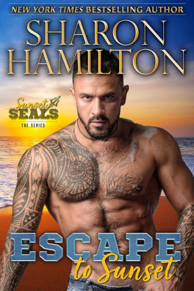 Escape To Sunset: One Night Stand Romance