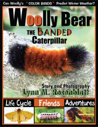 Title: Woolly Bear the Banded Caterpillar: Life Cycle, Friends and Adventures, Author: Lynn M. Rosenblatt