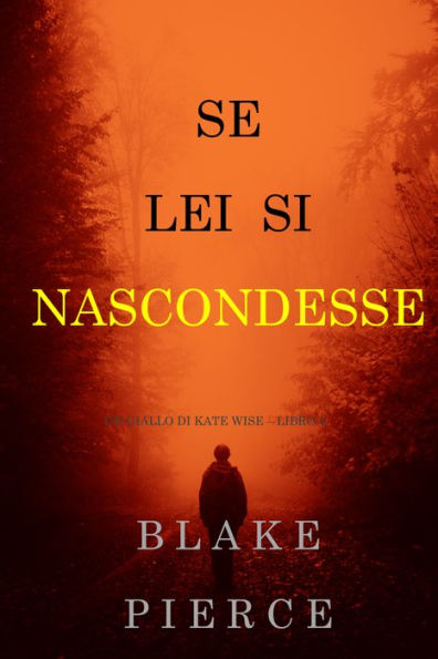 Se lei si nascondesse (Un giallo di Kate Wise Libro 4)