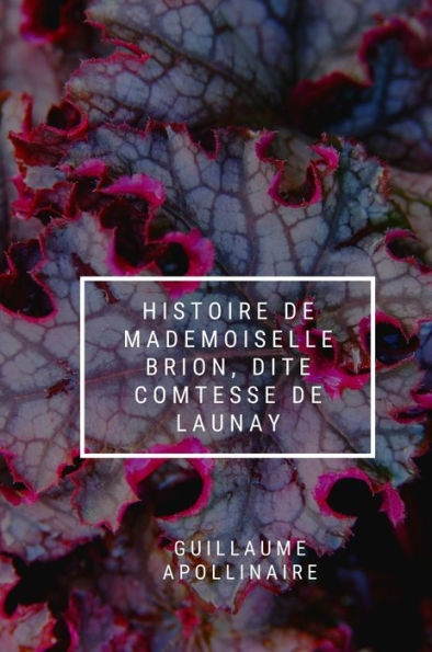 Histoire De Mademoiselle Brion, dite Comtesse de Launay