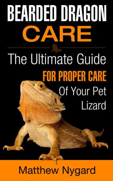 Caring For Your Pet Bearded Dragon