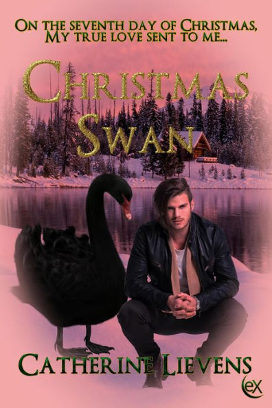 Christmas Swan (Seven Brothers, #1)