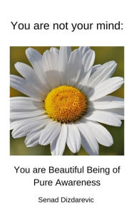 Title: You Are Not Your Mind: You Are Beautiful Being Of Pure Awareness, Author: SENAD DIZDAREVIC