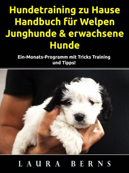 Hundetraining zu Hause: Handbuch für Welpen, Junghunde & erwachsene Hunde
