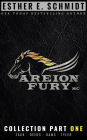 Areion Fury MC Collection Part One