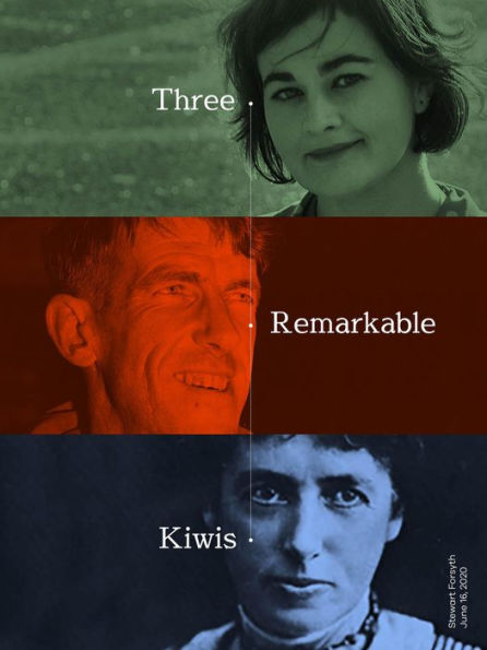 Three Remarkable Kiwis (Personality Plus, #1)