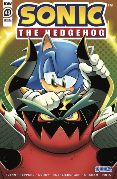 Sonic the Hedgehog's 900th Adventure CVR D Thomas: Ian Flynn: :  Books