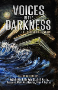 Title: Voices in the Darkness, Author: David Niall Wilson