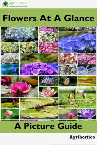 Title: Flowers at a Glance: A Picture Guide, Author: Agrihortico