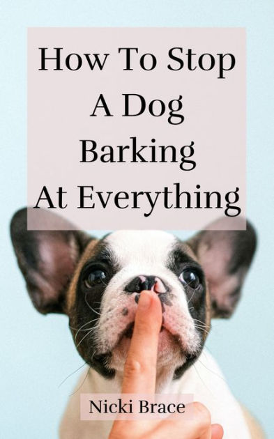 Dog Training My Dog Barks At Me When I Come Home Demand Barking