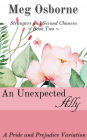 An Unexpected Ally (Strangers and Second Chances, #2)