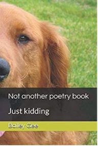 Title: Not Another Poetry Book: Just kidding, Author: Bailey Gee