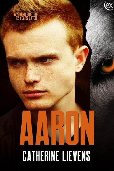 Aaron (Wyoming Shifters: 12 Years Later, #11)