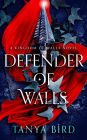 Defender of Walls (Kingdom of Walls, #1)
