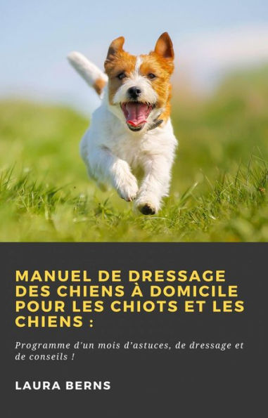 Manuel de dressage des chiens à domicile pour les chiots et les chiens : (Hiddenstuff Entertainment)