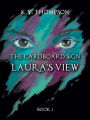 The Cardboard Sign: Laura's View