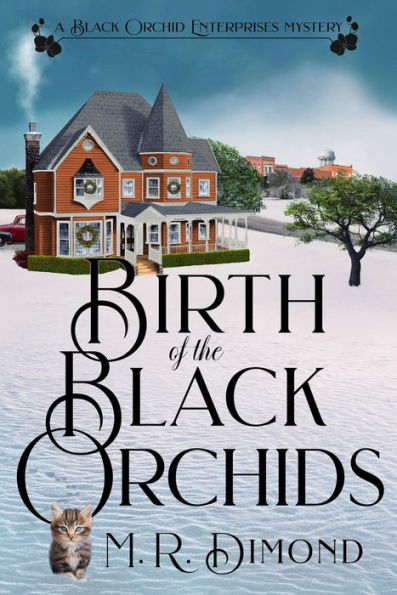 Birth of the Black Orchids (A Black Orchids Enterprises mystery, #1)