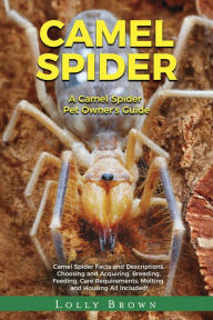 Title: Camel Spider, Author: Lolly Brown