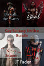 Gay Fantasy Erotica Bundle