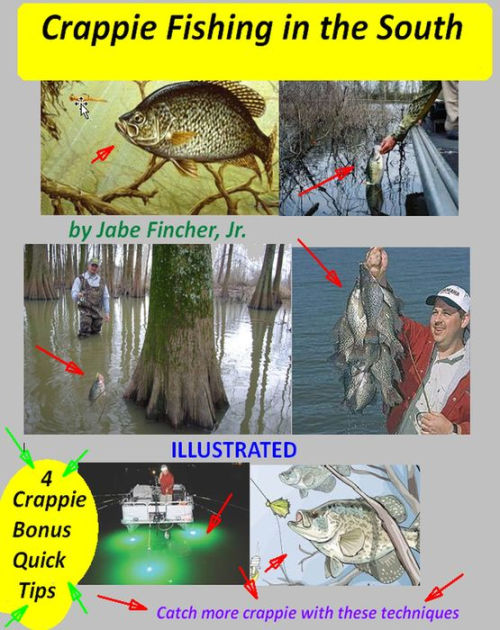 Crappie Fishing in the South by Jabe Fincher Jr, eBook