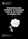 Operationalizing Pathways to Sustaining Peace in the Context of Agenda 2030: A How-To Guide