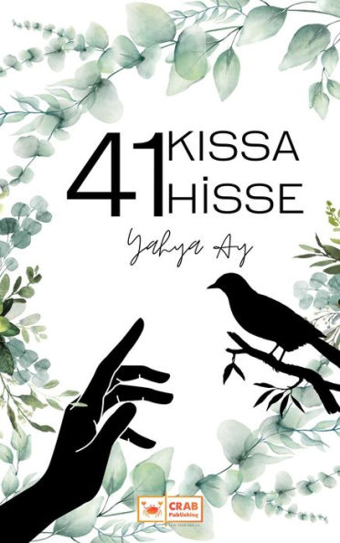 41 Kissa 41 Hisse