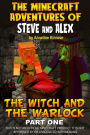 The Minecraft Adventures of Steve and Alex: The Witch & the Warlock - Part One