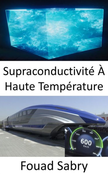 Supraconductivité À Haute Température: Le secret du premier train MAGLEV à lévitation magnétique à grande vitesse de 600 km/h au monde