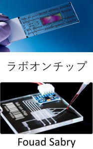 Title: Lab on a Chip: Low-cost point-of-care devices for human diseases diagnosis, possibly making laboratories dispensable, Author: Fouad Sabry