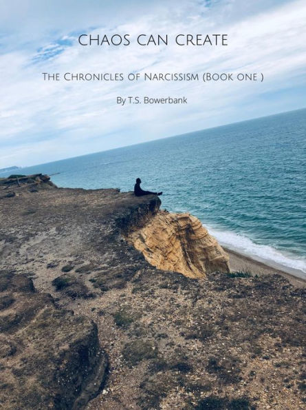 Chaos Can Create (The Chronicles of Narcissism, #1)