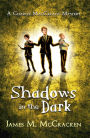 Shadows in the Dark (A Charlie MacCready Mystery, #2)