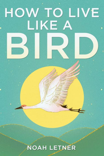 how-to-live-like-a-bird-by-noah-letner-ebook-barnes-noble