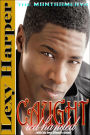 Caught Red-Handed (The Montgomerys, #4)