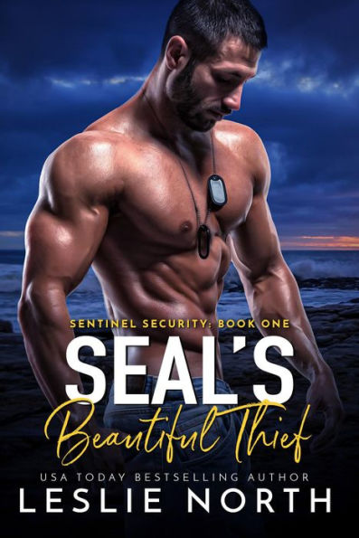 SEAL's Beautiful Thief (Sentinel Security, #1)