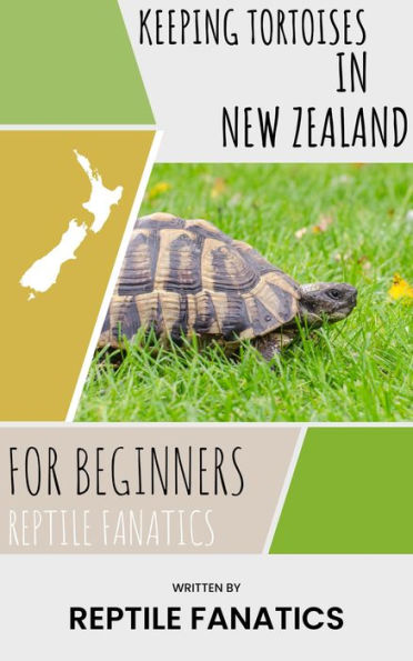 Keeping Tortoises in New Zealand For Beginners