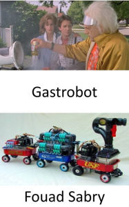 Title: Gastrobot: Un robot stomacal artificiellement intelligent qui tire toute l'énergie dont il a besoin de la digestion des aliments réels, Author: Fouad Sabry