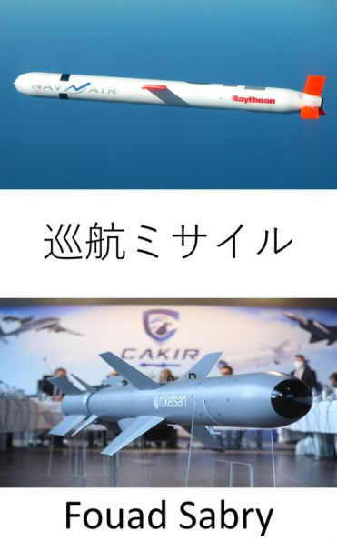 Cruise Missile: Subsonic, supersonic, or hypersonic speeds; self-navigation; non-ballistic, and extremely low-altitude trajectory; high precision destruction