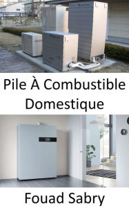 Title: Pile À Combustible Domestique: Petit générateur pour l'électricité et l'eau chauffée, Author: Fouad Sabry