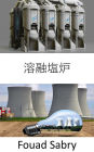 Molten Salt Reactor: Rethinking the fuel cycle in the future of nuclear power?