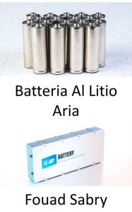 Title: Batteria Al Litio Aria: Apre la strada agli aerei passeggeri elettrici, Author: Fouad Sabry