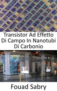 Title: Transistor Ad Effetto Di Campo In Nanotubi Di Carbonio: Effettuare il passaggio dalla struttura di ricerca al piano di produzione, Author: Fouad Sabry