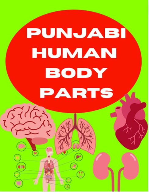 names of body parts in punjabi