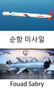 Title: Cruise Missile: Subsonic, supersonic, or hypersonic speeds; self-navigation; non-ballistic, and extremely low-altitude trajectory; high precision destruction, Author: Fouad Sabry
