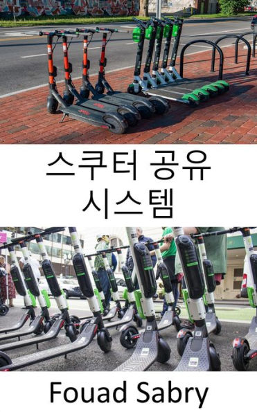 Scooter Sharing System: The blooming of micro mobility