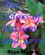 The Colors of Passion and Love