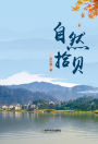 zi ran shibei