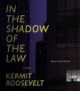 In the Shadow of the Law (Abridged)